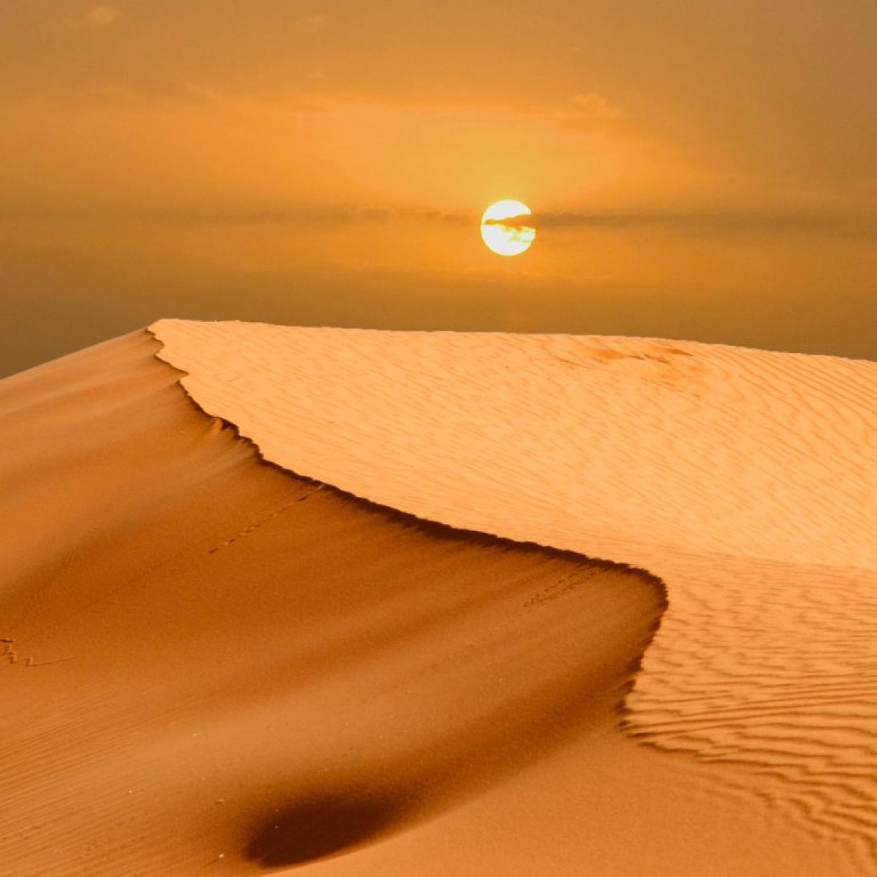 A la découverte du "quart vide", le désert du Rub al Khali