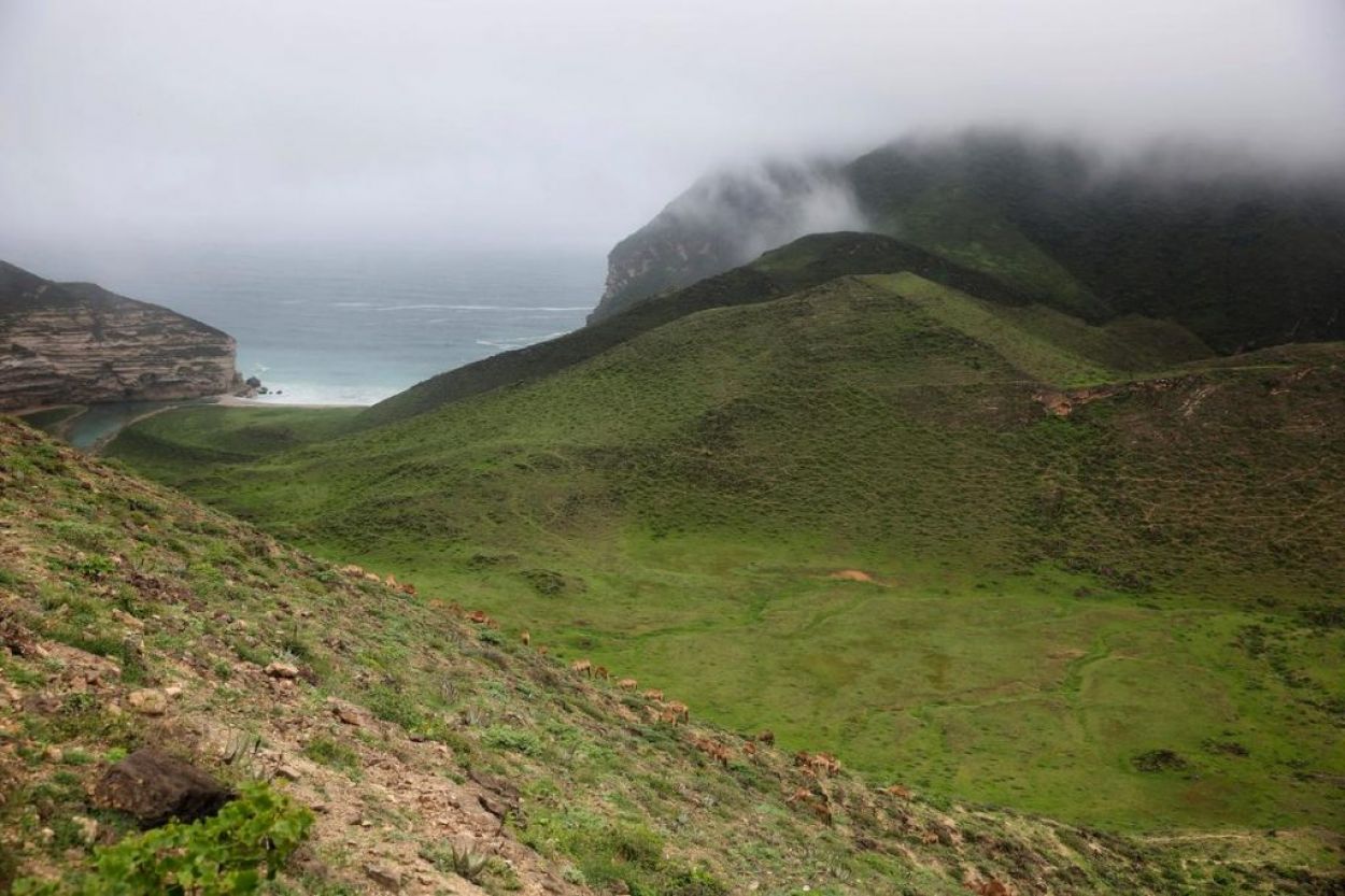 Green mountains of Dohfar in Oman