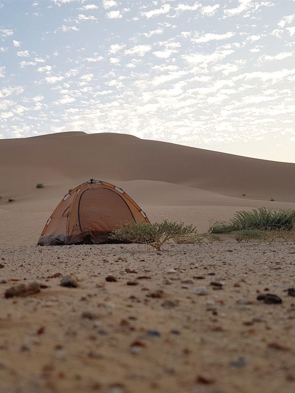 Safari dans le rub al khali